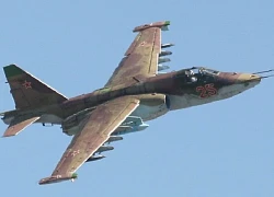 Ukraine bắn hạ cường kích Su-25, tiết lộ thiệt hại của Nga trong một ngày