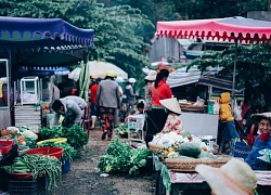 Một sáng tinh sương trên nóc nhà miền Tây ở An Giang