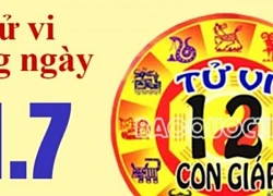 Tử vi 12 con giáp hôm nay ngày 11/7/2024: Tý phát triển, Dậu thuận lợi