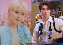 Dino (Seventeen): Em út quốc dân Kpop, từng vạ miệng khiến đồng đội xanh mặt