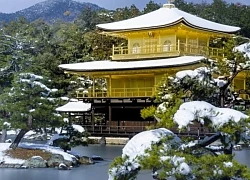 Kinkakuji - ngôi chùa thiêng dát vàng ở Nhật Bản