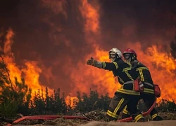 Nga ban bố tình trạng khẩn cấp ở Novorossiisk do cháy rừng lan rộng