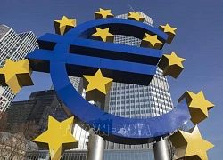 Eurozone: Tăng lương không phải là yếu tố gây tăng lạm phát