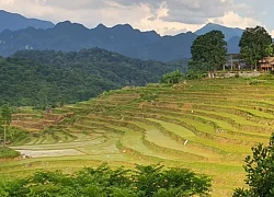 Khám phá thiên đường Pù Luông giữa đại ngàn