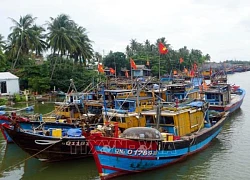 Quảng Nam: Trên 900 lao động ở ngư trường xa bờ đã trở về đất liền