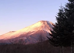 Rừng ma dưới chân Fuji san