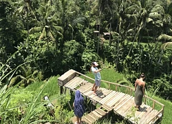 Ruộng bậc thang ở Tegalalang nấc thang lên thiên đường