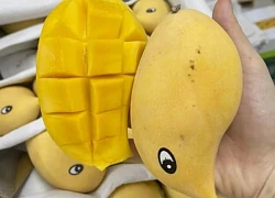 Loại xoài "đuôi cong" đang được bán đầy các chợ Hà Nội: Vị thế nào, đắt hay rẻ, có phải xoài Việt không?