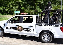 Mexico: Bắt thủ lĩnh nhóm 'chân rết' băng đảng ma túy Gulf Cartel