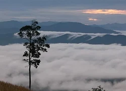 Săn mây trên đỉnh Chư Hreng