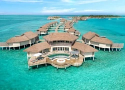 Du lịch Maldives nên ở đâu? Tham khảo các resort được yêu thích bậc nhất tại đây.