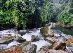 Kinh nghiệm trekking suối Cửa Tử cho người đi lần đầu