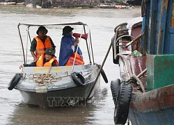 Ứng phó với bão số 2: Triển khai phương án bảo vệ trọng điểm đê xung yếu