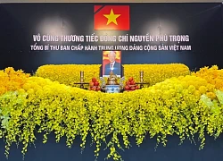 Quốc tang Tổng Bí thư Nguyễn Phú Trọng: Lễ viếng tại Thành phố Hồ Chí Minh