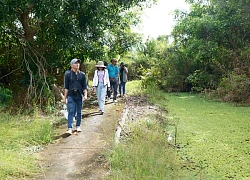 Về U Minh Thượng, thăm động vật hoang dã