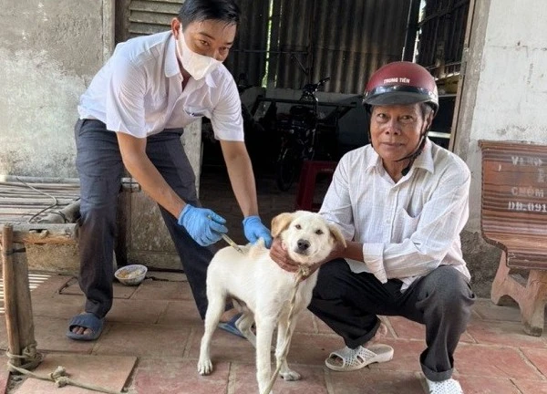 Hà Nội: Phát hiện ổ bệnh chó dại cắn nhiều người tại Sóc Sơn