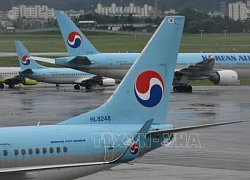 Korean Air ngừng phục vụ mì ly trên chuyến bay đường dài