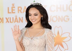 Lý do Mai Ngô bỏ thi Miss Universe Vietnam 2024