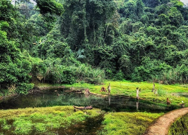 Tour đêm rừng Cúc Phương ngắm động vật hoang dã