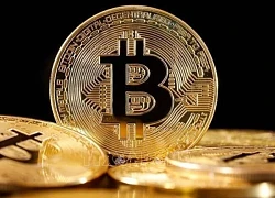 Bitcoin tăng giá, số lượng triệu phú tiền số tăng tới 95%