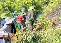 Hà Tĩnh: huy động hàng trăm người dập tắt đám cháy rừng