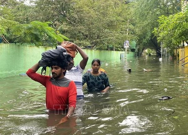 Mưa lớn hoành hành tại Ấn Độ và Pakistan, hàng nghìn người phải sơ tán