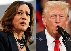 Ông Trump thông báo đạt thỏa thuận với bà Harris về cuộc tranh luận trên truyền hình