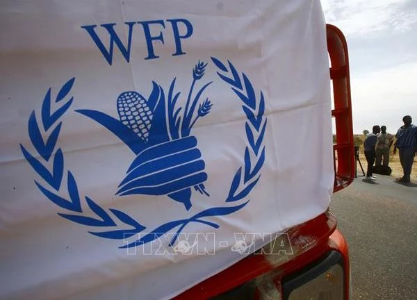 Xung đột Hamas Israel: WFP tạm dừng hoạt động di chuyển của nhân viên tại Gaza