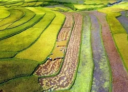 Check in 'sống ảo' ở Than Uyên (Lai Châu)