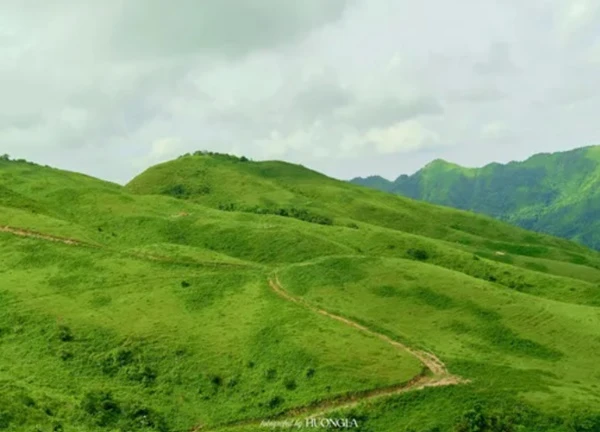 'Đà Lạt thu nhỏ' cách Hà Nội 100km, khách tới săn mây, cắm trại giữa rừng