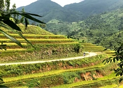 Đi trekking săn mây thiên đường trên đỉnh núi cao nhất nhì Hà Giang