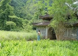 Làng cổ xanh mướt tựa thiên đường bình yên ở Cát Bà, đã đến là không muốn về