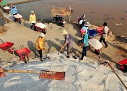 Đi Vũng Tàu, ghé thăm ruộng muối Long Điền