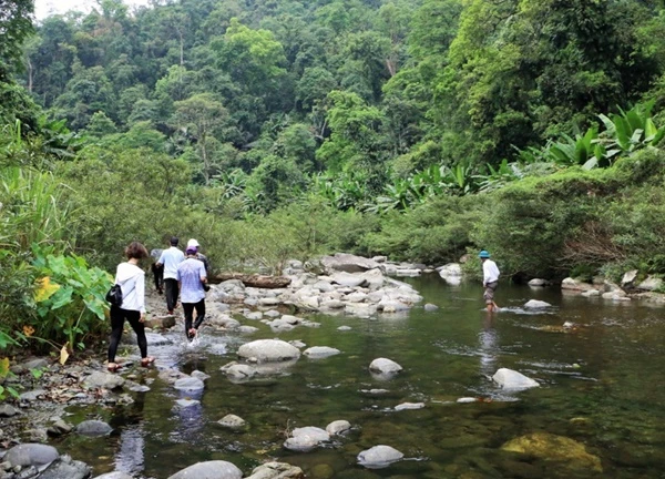 Xuyên rừng khám phá khe Nước Trong, chìm trong không khí dịu mát