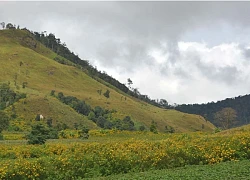 Lãng du ở phố núi