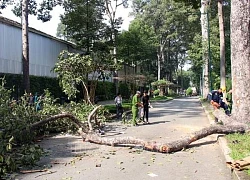 Chi trả toàn bộ chi phí điều trị, hỗ trợ tang lễ cho gia đình các nạn nhân