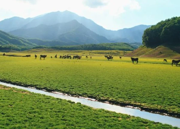 Chiêm ngưỡng những cảnh đẹp ở hồ Hòa Trung Đà Nẵng