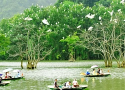 Du lịch Thung Nham Ninh Bình toàn tập từ A đến Z