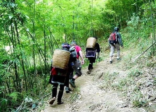 Du lịch Trekking Loại hình du lịch Sa Pa mới lạ