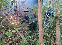 Hàng trăm người chữa cháy rừng bạch đàn ở Quảng Bình