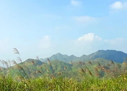 Khám phá "thiên đường cỏ lau", Bình Liêu (Quảng Ninh)