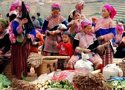 Phiên chợ trên đỉnh Lang Biang Đà Lạt