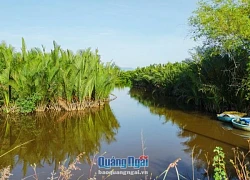 Cà Ninh - Điểm du lịch lý tưởng ngày hè