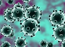 Một trong các loại virus lây lan nhanh nhất ở người