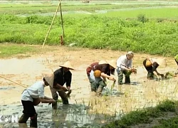 Ninh Bình: Du lịch trải nghiệm kết nối văn hóa Mường hấp dẫn khách quốc tế