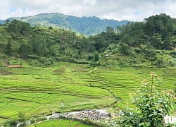 Săn mây, tắm gió mùa hạ trên đỉnh Quế Quảng Nam