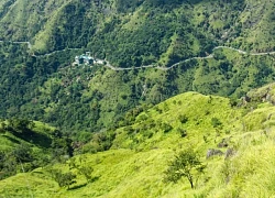 Băng qua những đồi chè xanh mướt ở Sri Lanka