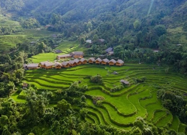 Chiêm ngưỡng vẻ đẹp ruộng bậc thang mùa lúa xanh ở Hoàng Su Phì (Hà Giang)