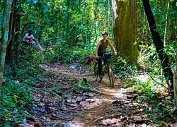 Chinh phục thiên nhiên hoang sơ đầy lôi cuốn tại rừng Mã Đà