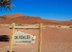 DeadVlei: Nghĩa địa cây khô giữa lòng sa mạc thành điểm đến trong mơ